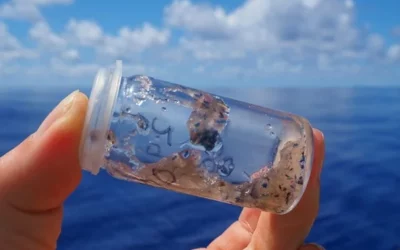 Microplastics Are Everywhere